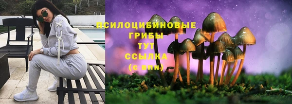 мяу мяу кристалл Нефтекумск