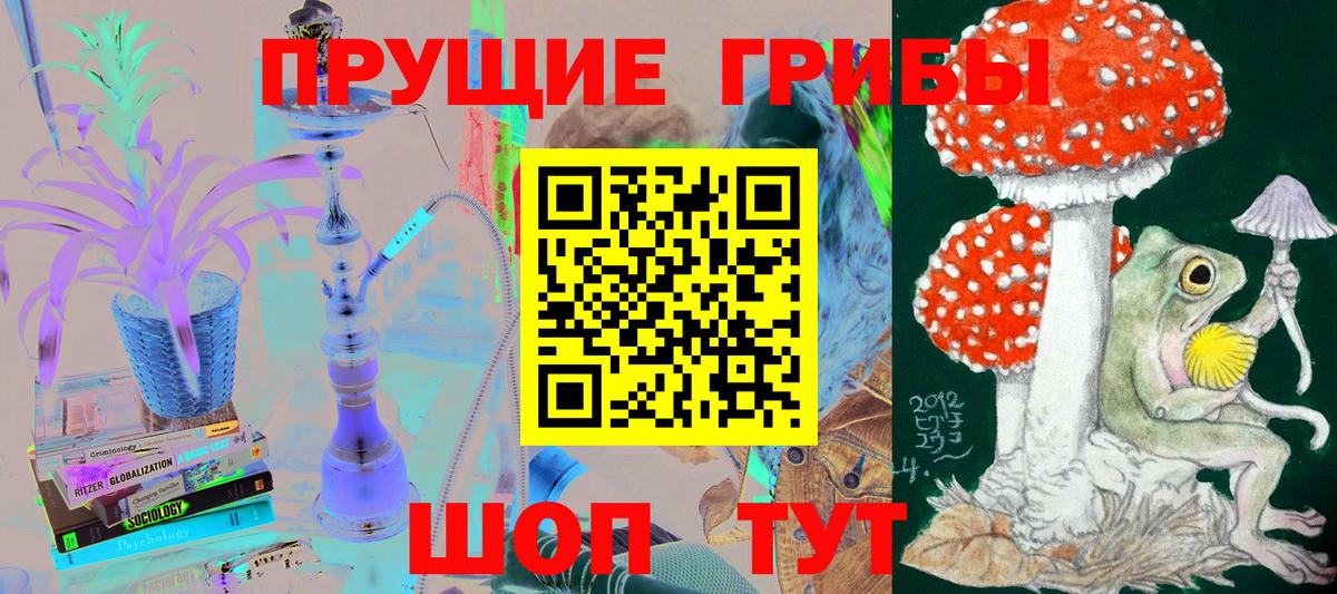 Галлюциногенные грибы мицелий  Вход с VPN  Киржач  Псилоцибиновые грибы Psilocybe 